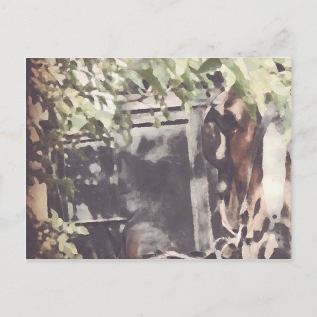 Das abscheuliche Pferd Postkarte (Vorderseite)