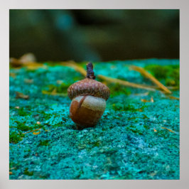 DAS ACORN POSTER