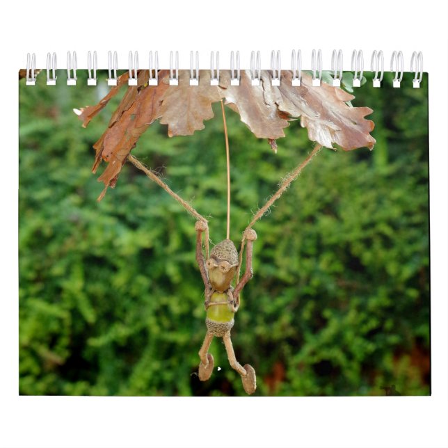 Das Acorn-Volk des Shirebrook-Tals Kalender (Titelbild)