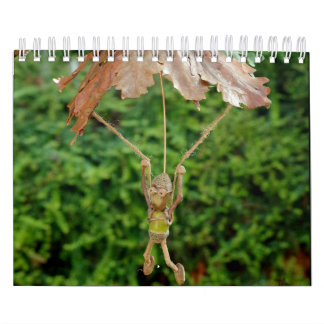 Das Acorn-Volk des Shirebrook-Tals Kalender