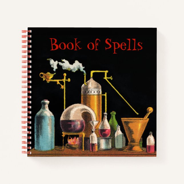 Das Alchemist Mad Scientist-Notebook Notizbuch (Vorderseite)