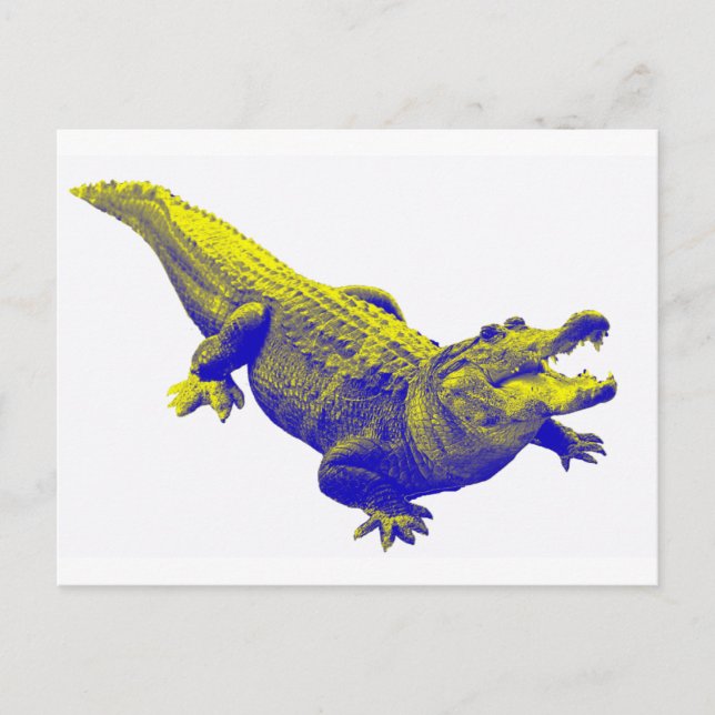 DAS ALLIGATOR-LICHT POSTKARTE (Vorderseite)