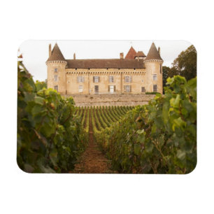 Das alte mittelalterliche Schloss Chateau de Rully Magnet