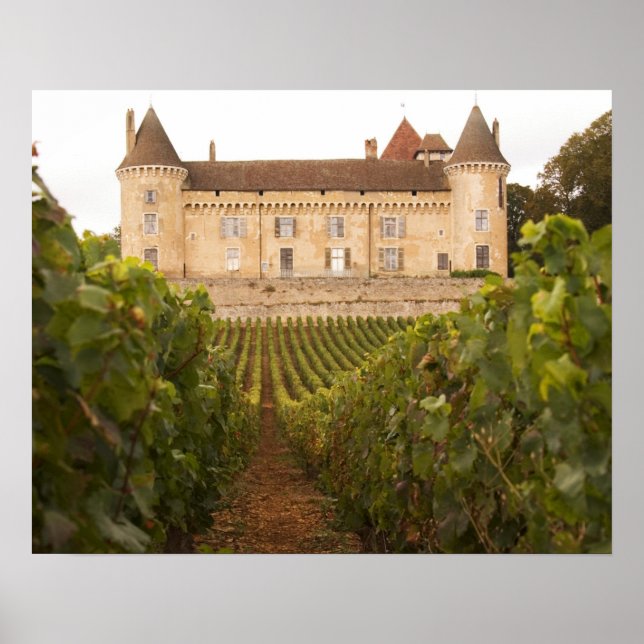 Das alte mittelalterliche Schloss von Rully im Grü Poster (Vorne)