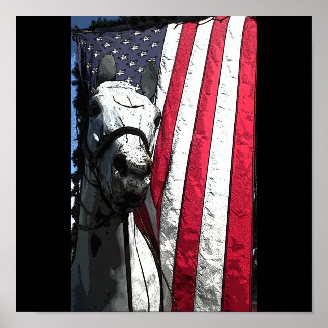 Das amerikanische Arbeitspferd Poster (Vorne)
