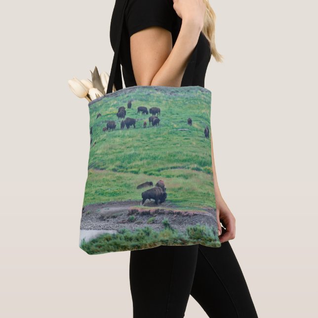Das amerikanische Bison (Von Nahem)