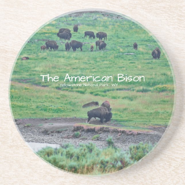 Das amerikanische Bison Getränkeuntersetzer (Vorne)