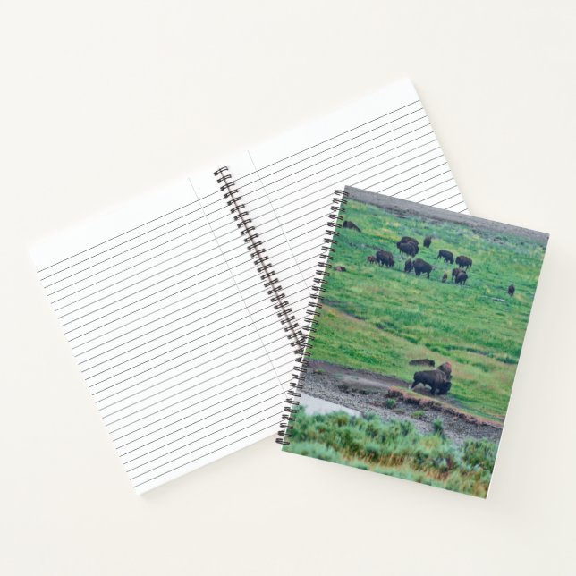 Das amerikanische Bison Notizbuch (Innenseite)