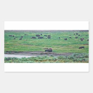 Das amerikanische Bison Rechteckiger Aufkleber