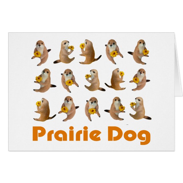 das angefüllte Spielzeug des Präriehunds (Vorderseite (Horizontal))