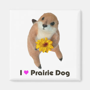 das angefüllte Spielzeug des Präriehunds Magnet
