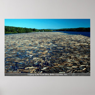 Das Anmelden des Fraser Rivers, Britisch-Columbia, Poster