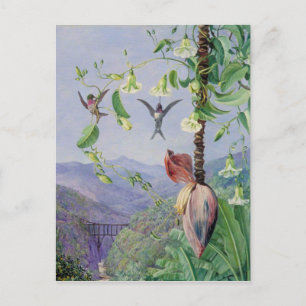 Das Aquädukt von Morro Velho, Brasilien, Marianne  Postkarte