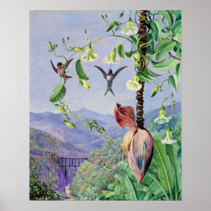 Das Aquädukt von Morro Velho Poster