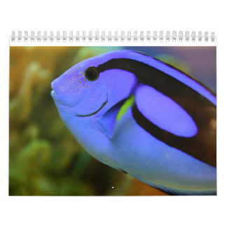 Das Aquarium Kalender