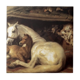 Das arabische Zelt durch Edwin Henry Landseer Fliese