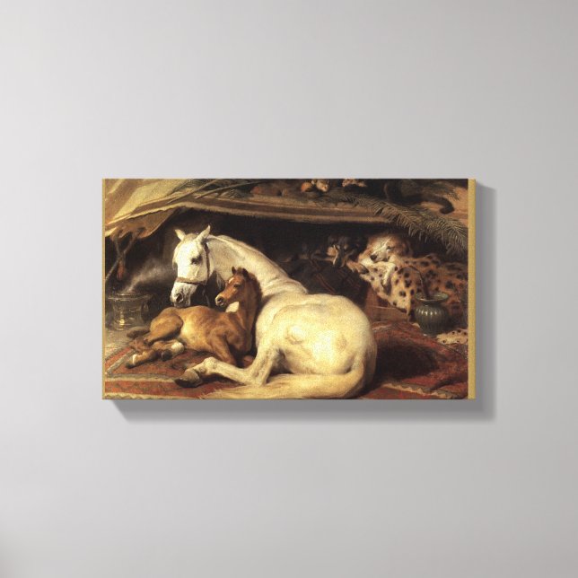 Das arabische Zelt Leinwanddruck (Vorderseite)