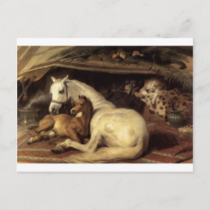Das arabische Zelt von Edwin Henry Landseer Postkarte