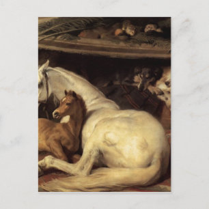 Das arabische Zelt von Edwin Henry Landseer Postkarte