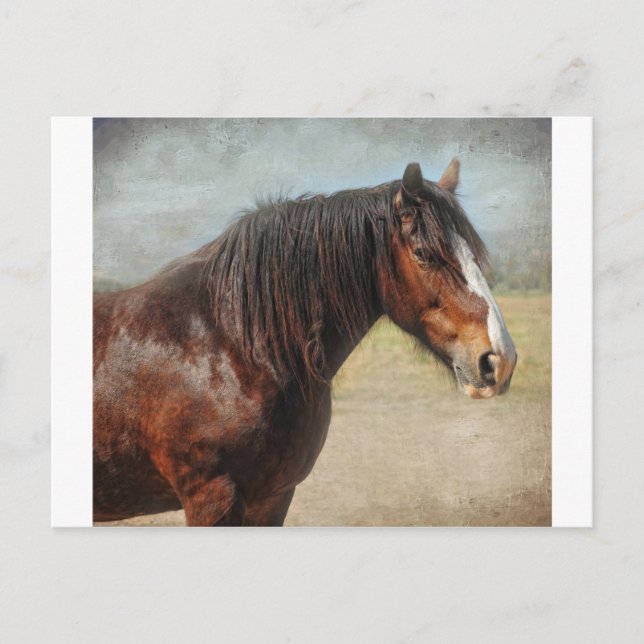 Das Arbeitstier Postkarte (Vorderseite)