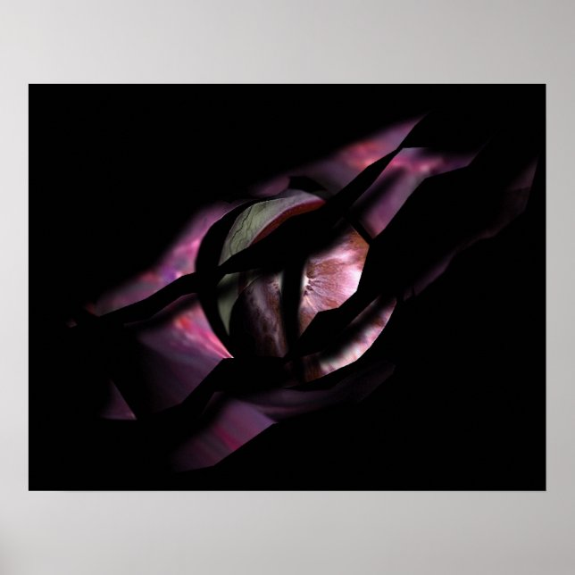 Das Auge des Drachen reißt durch Poster (Vorne)