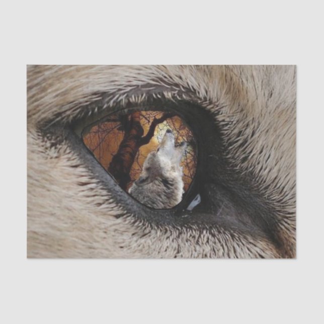 Das Auge des Wolfs Seidenpapier (Vorderseite)