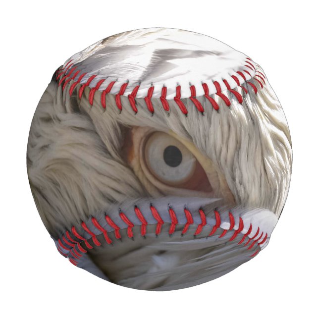 Das Auge eines Pelikanen Baseball (Vorderseite)