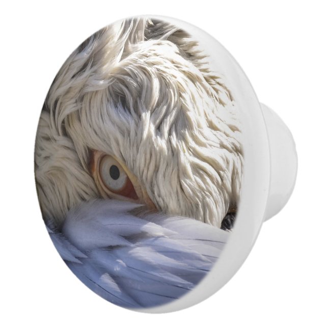 Das Auge eines Pelikanen Keramikknauf (Rechts)