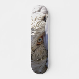 Das Auge eines Pelikanen Skateboard