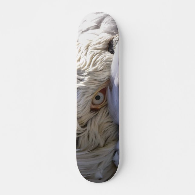 Das Auge eines Pelikanen Skateboard (Vorne)