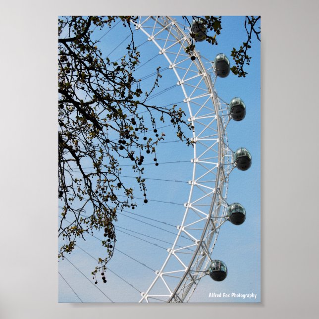 Das Auge im Herbst Poster (Vorne)