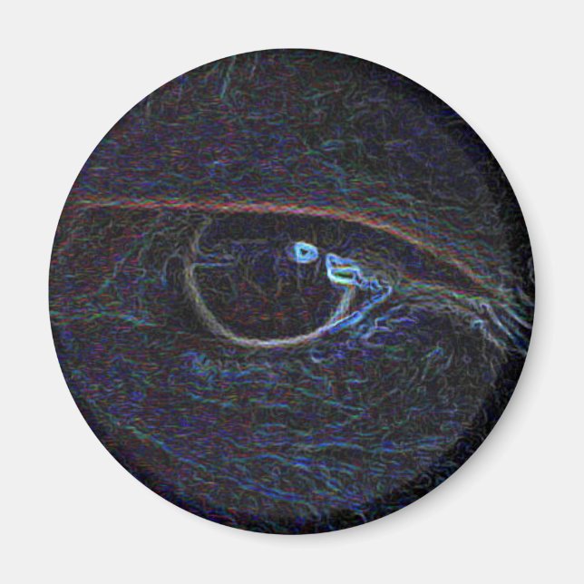Das Auge Magnet (Vorne)