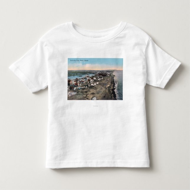 Das Augen-Ansicht des Vogels von TownNome, AK Kleinkind T-shirt (Vorderseite)