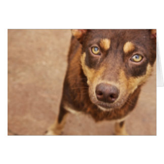 Das Aussehen der Liebe