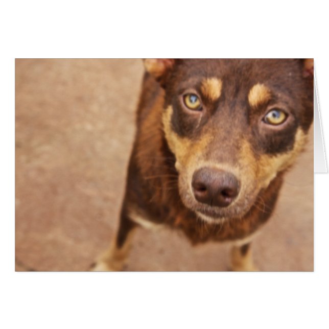 Das Aussehen der Liebe (Vorderseite (Horizontal))