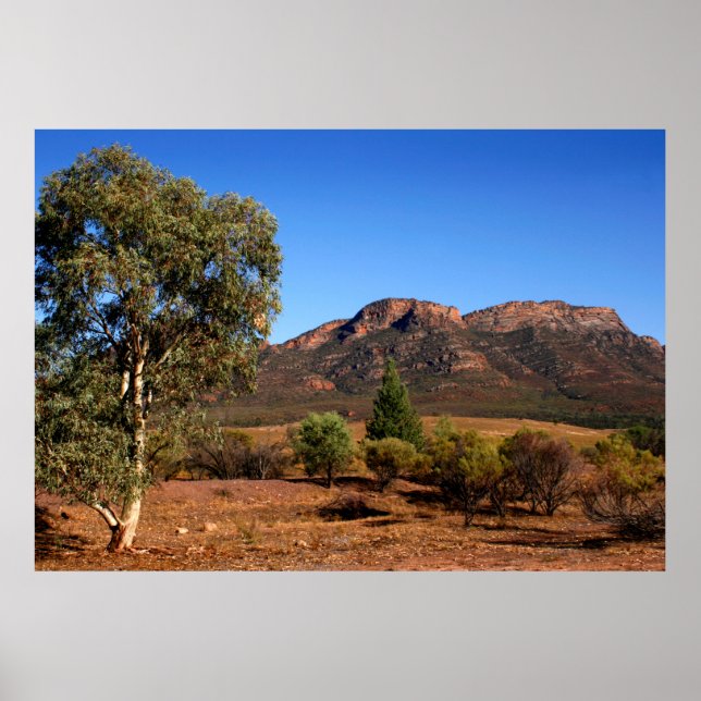 Das australische Outback Poster (Vorne)