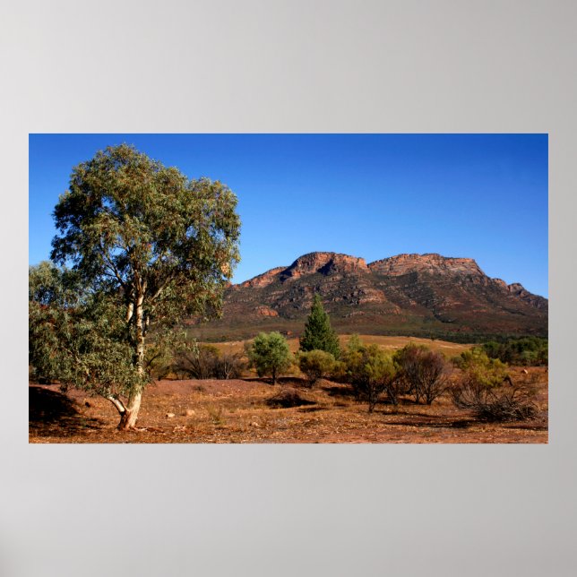 Das australische Outback Poster (Vorne)