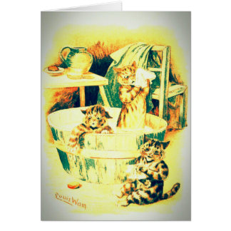 Das Bad der Katze