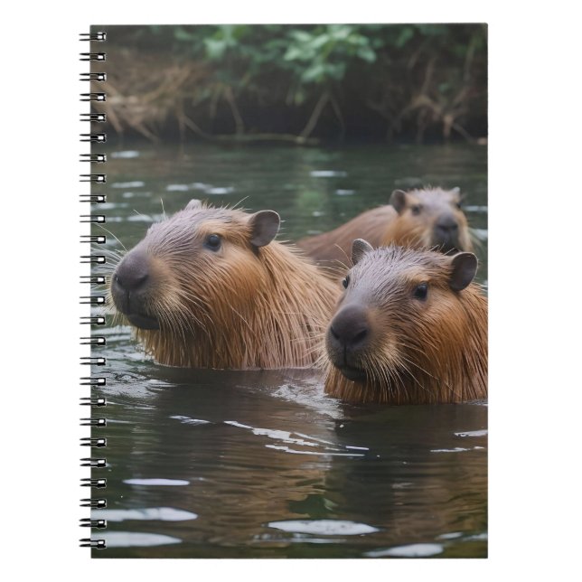 das Baden von Capybaras im Fluss, Notizblock (Vorderseite)