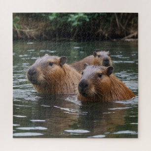 das Baden von Capybaras im Fluss, Puzzle
