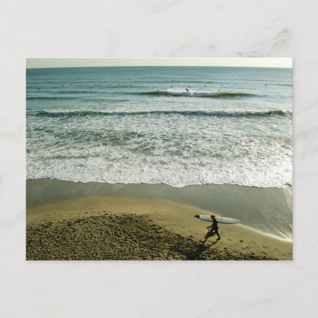 Das Beach Life - Sagami Bay, Japan Postkarte (Vorderseite)