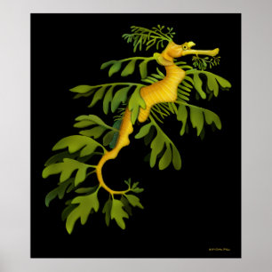 Das belaubte Seedrache-Seepferd-Plakat Poster