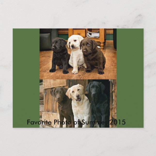 Das beliebteste Foto von 2015: Postkarte (Vorderseite)