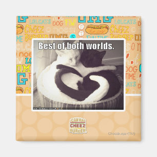 Das Beste aus beiden Welten. Magnet