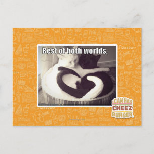 Das Beste aus beiden Welten. Postkarte