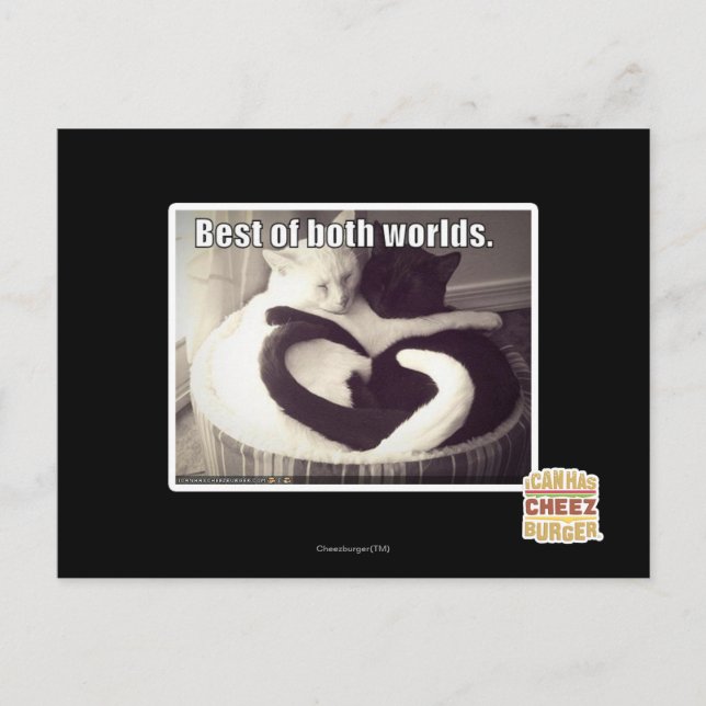Das Beste aus beiden Welten. Postkarte (Vorderseite)