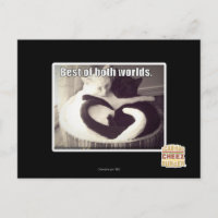 Das Beste aus beiden Welten.