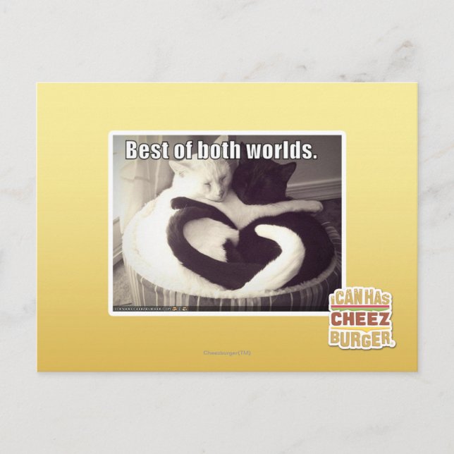 Das Beste aus beiden Welten. Postkarte (Vorderseite)