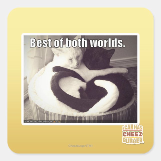 Das Beste aus beiden Welten. Quadratischer Aufkleber (Vorderseite)