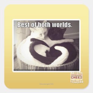 Das Beste aus beiden Welten. Quadratischer Aufkleber